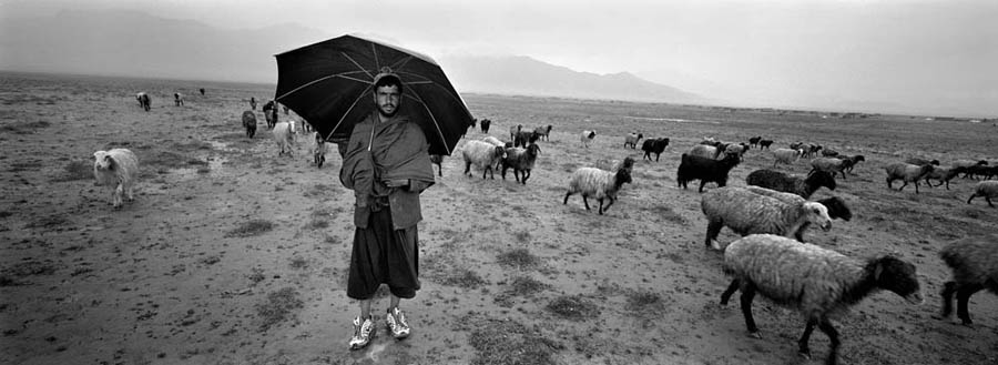 A Kuchi shepherd is leading his cattle to where food is available. Many times that is in the old battle fields where the presence of UXOs and mines are high : Demining in Kabul : Charlotte Oestervang Photography